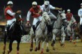 HORSEBALL